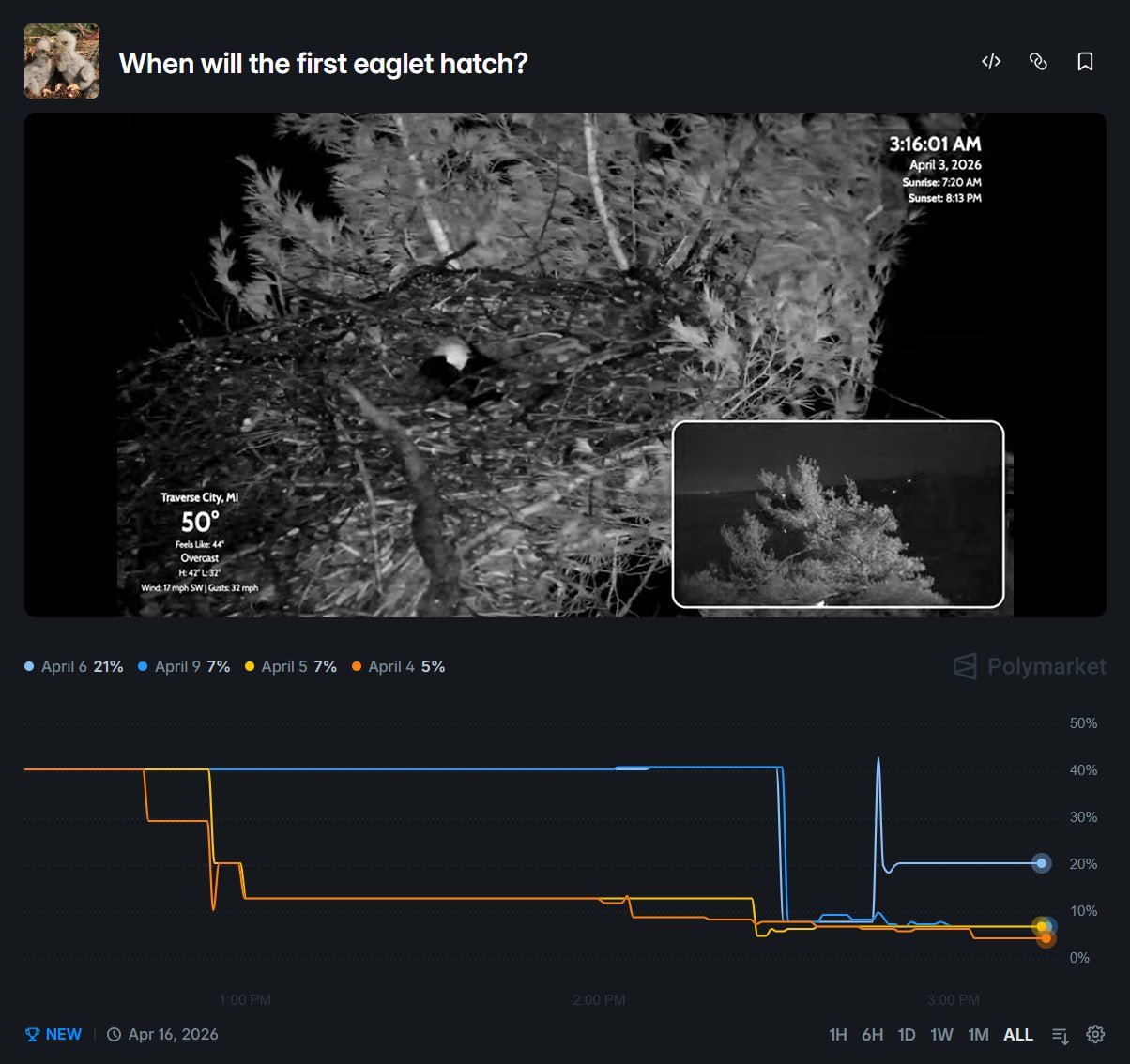 预测市场的“自然实验”：从白头海雕孵化看Web3公益的新边界 - AIBoxBot