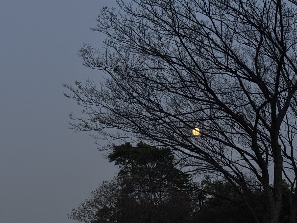 AIBoxBot实战笔记：国画意境里的「枯藤老树昏鸦」重制｜Midjourney 教程 - AIBoxBot