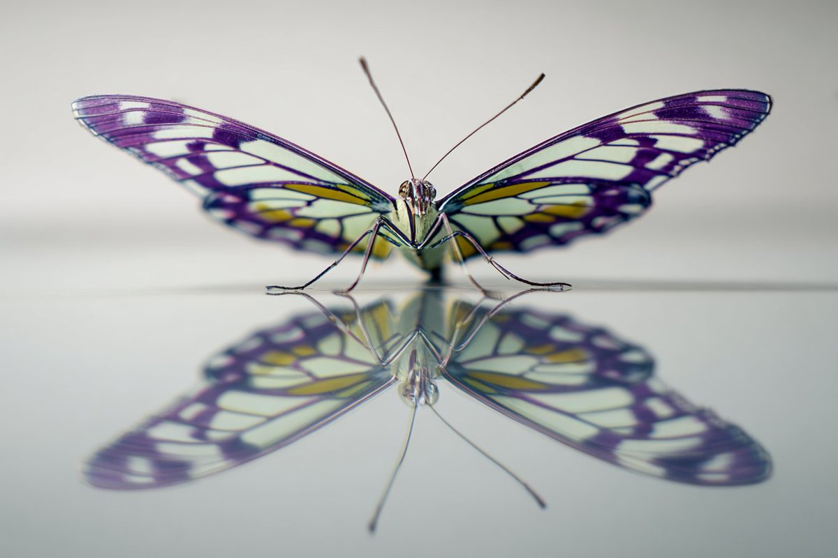 AIBoxBot构图进阶：错视视角的变形艺术练习模板｜Midjourney 提示词 - AIBoxBot